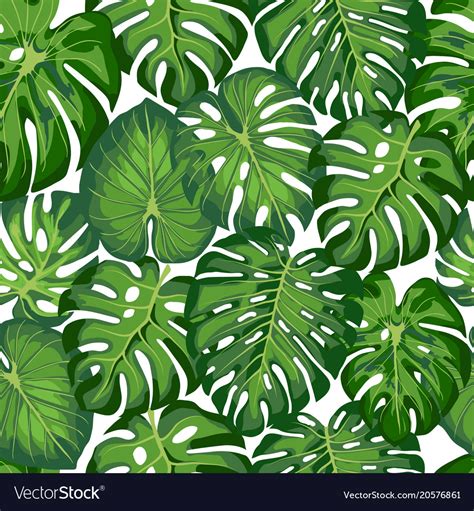 pattern  tropical leaves royalty  vector image