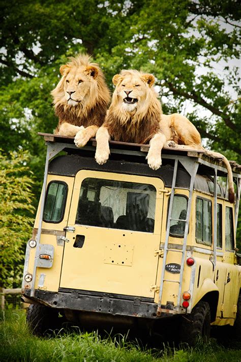 zooparc overloon