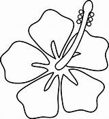Flower Hibiscus Line Outline Clip Hybiscus Sweetclipart sketch template
