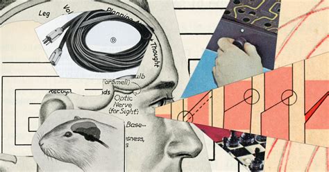 neuroscience the new york times