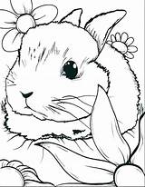 Coloring Pages Rabbit Brer Getcolorings sketch template