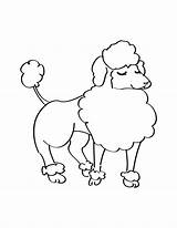 Poodle Coloring Pages Pink Getdrawings Getcolorings sketch template