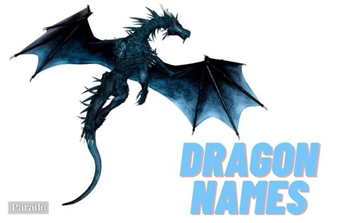 dragon names   cool meanings parade