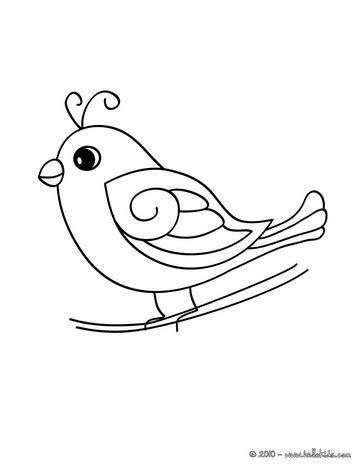 cute bird coloring pages hellokidscom