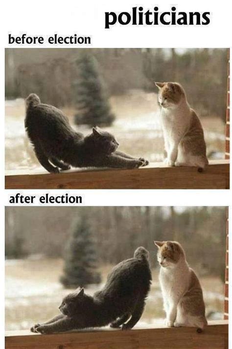 politicians before and after elections ~ facebook funny pictures funny images jokes celebrity