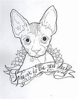Cat Drawing Getdrawings Hairless Different sketch template