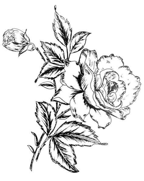 digital   tuesday flower designs adult coloring pages books