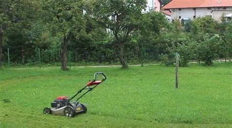 couple caught having sex on person s lawn while he was mowing
