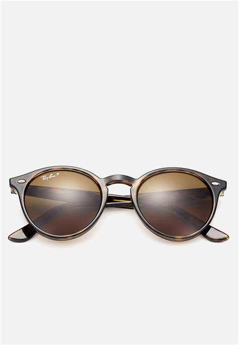 ray ban round polarized sunglasses 49mm shiny dark havana ray ban
