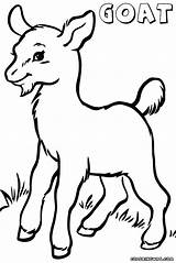Goat Coloring Pages Baby Cute Drawing Printable Colouring Draw Color Clipart Getdrawings Clipartmag Getcolorings Template sketch template