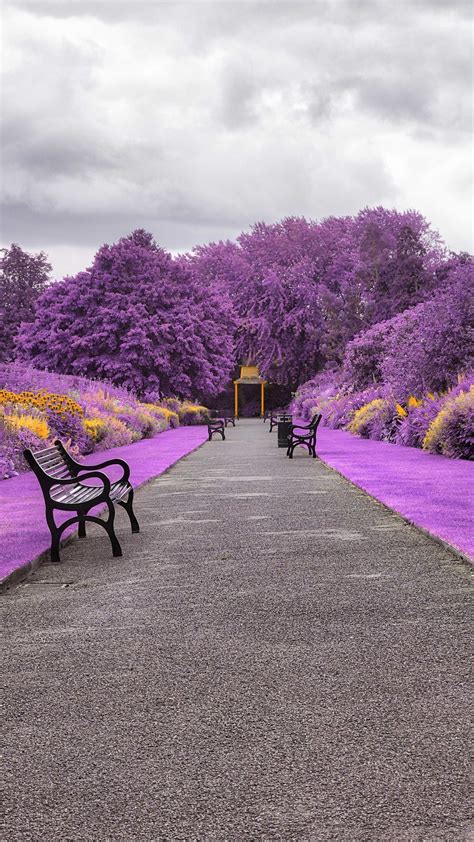 garden botanical park purple  ultra hd mobile wallpaper