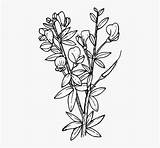 Larkspur Wildflower Pngitem sketch template
