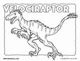 Coloring Velociraptor Dinosaur Printables Pages Feathers Printable Sheets Timvandevall Color Tim Kids Animal Activity Fun sketch template