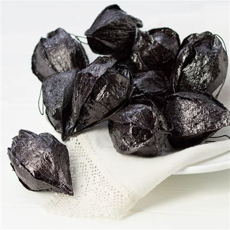 black glittered chinese lantern seed pods vase  bowl fillers