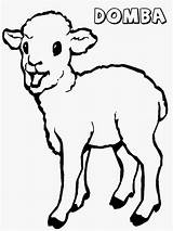 Domba Mewarnai Anak Binatang Hewan Lucu Tk Sketsa Gbr Diwarnai Terpopuler Sekolah Minggu Anakcemerlang Doodle Kunjungi sketch template