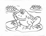 Tadpole Frogs sketch template
