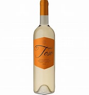 Image result for Pascual Toso Sauvignon Blanc. Size: 174 x 185. Source: www.wina-bachus.pl