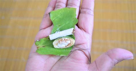 betel nut chewing   cancer loss  teeth