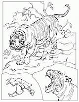 Tijger Kleurplaten Dieren Mewarnai Tigre Savana Animali Ausmalen Kleurplatenwereld Ausmalbild Macan Animasi Wildtiere Tigri Moeilijke Bergerak Animierte Volwassenen Animaatjes Malvorlage sketch template