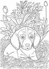 Coloring Dog Pages Dogs Adult Cats Sheets Book Realistic Puppy Cat Animal Lovable Publications Dover Doverpublications Printable Para Adults Color sketch template