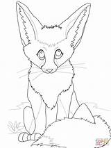 Fox Fennec Coloring Pages Cute Baby Printable Drawing Realistic Anime Color Simple Bat Eared sketch template