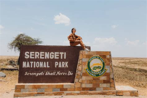 serengeti national park facts plain facts  national park animals