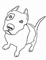 Pitbull Coloring Pages Pit Bull Drawing Realistic Zombie Line Bucking Cute Color Drawings Getdrawings Printable Getcolorings Puppies Paintingvalley Bulls Pag sketch template