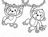 Macacos Colorir Monkeys sketch template