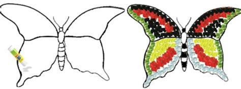 gambar kolase kupu kupu  bunga kumpulan montase kolase  mozaik