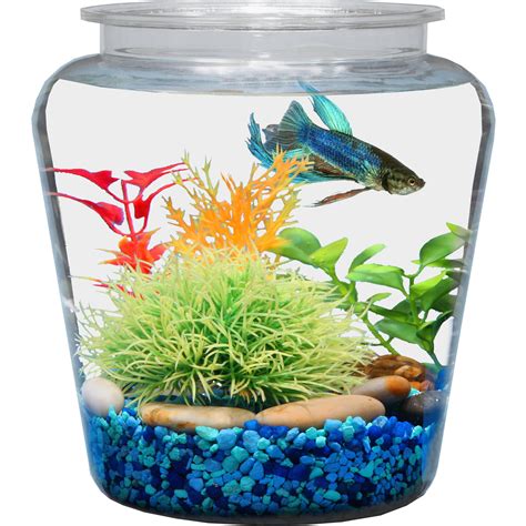 gallon betta tank gbettanfish