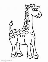 Coloring Pages Preschool Animals Giraffe Preschoolers Toddlers Printable sketch template