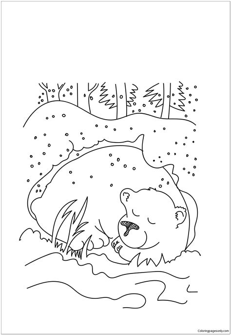 hibernating bear printable