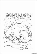 Hibernation Hibernating Winnie Webstockreview Wallpaperfor sketch template