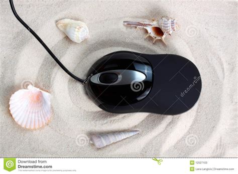 mouse  beach sand stock image image  shell holidays