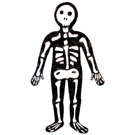human skeleton clip art clipart