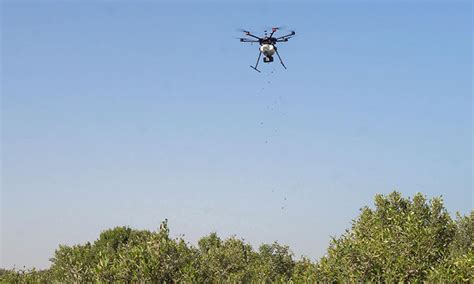 uae stops  drone activities   country gulftoday