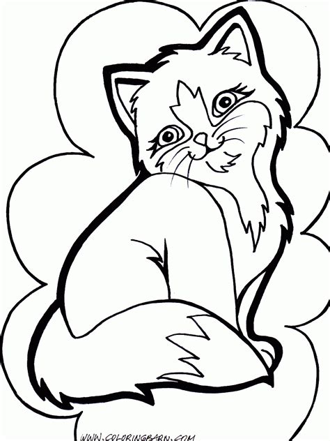 cat  kitten coloring page coloring home