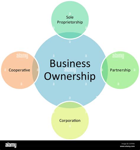 business ownership diagram management strategy concept chart illustration stock photo alamy