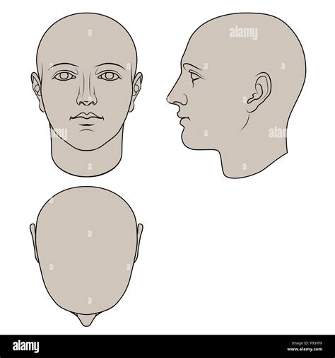 hand drawn human head  face profile  top views flat vector