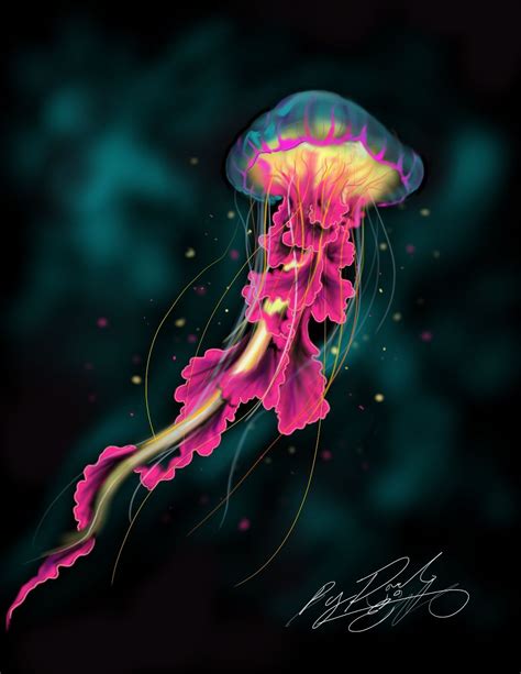 errick longs cool jelly fish drawing fish drawings jellyfish art