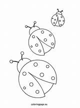 Ladybug Coloring Ladybugs Pages Template Flower Bug Printable Coloringpage Eu Color Cartoon Kids Patterns Preschoolers Crafts Lady Applique Templates Spring sketch template