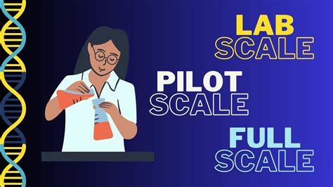 scaling   comprehensive comparison  laboratory scale pilot