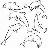 Dolphins Sketch Set Stock Illustration Dolphin Vector Depositphotos Drawings Fish Wikki33 Sketches sketch template