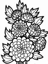 Coloring Flower Pages Dahlia Flowers Color Kids Print Recommended sketch template