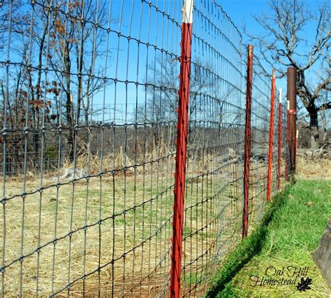 goat fencing  works oak hill homestead
