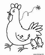 Facile Coloriage Poule Colorir Galinha Dessin Hens Imprimer Hen Coloringhome Rooster sketch template