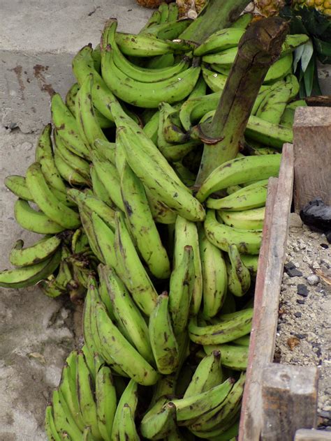 banane plantain description origine vitamines
