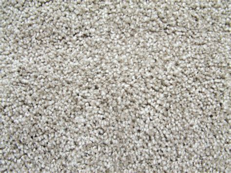 berber carpet prices floor pro carpet cleaining