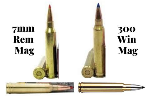 7mm Rem Mag Vs 300 Win Mag Cartridge Comparison Thegunzone Free Nude