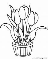Kwiaty Kolorowanka Kolorowanki Doniczce Tulips Druku Dzieci Kwiatek Tulipany Malowanka Najbardziej Poszukiwane Topcoloringpages Zabawki Wiosna Colouring sketch template